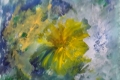 19.Uni-vers (D : 24cm x 32cm    Prix=80 €)