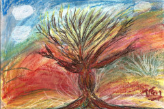 11.Arbre-ouvert