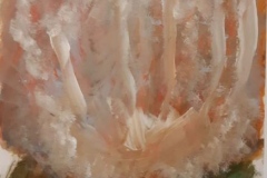 28 .Bouillon (D : 21cm x 30cm    Prix=70 €)