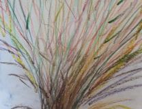 05-14-Arbre-epanoui