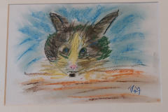 12.11-chat-dE.-papier
