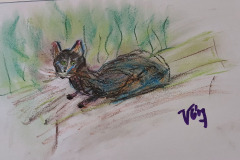 12.12-Chat-chat-papier