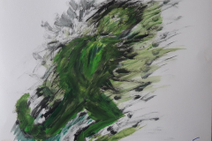 05.Tangue (D : 30cm x 42cm    Prix=100 €)