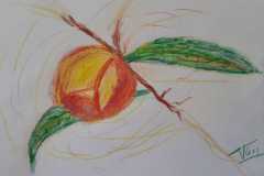 02.Peche_