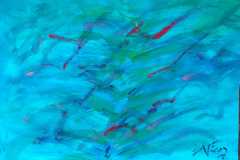 06.Nuages-doiseaux