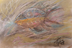 2025.02.17-je-men-fish