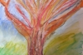 3.L'arbre musclé