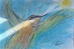 10.Loiseau du jour croise le soleil  papier