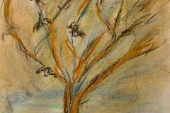 2025.01.11-ambiance-hivernale-sur-papier