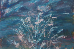 07.14-Feu-d'artifice-TOILE