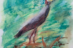 02.heron_