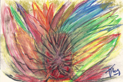 03.reine-araignee