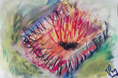 11.Feux-de-la-colere
