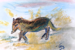 2025.05.06-Rencontre-avec-un-poney-papier