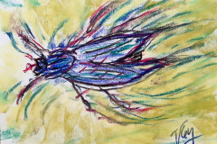 15.Lintrus
