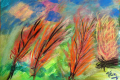 12.Souffle du vent (D : 30cm x 42cm    Prix=100 €)