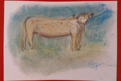 15.La vache *