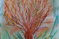 11.27-Les-bronches-des-arbres