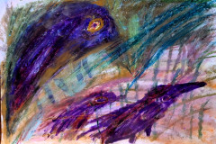 11.30-Les-vilains-petits-poissons-papier