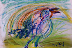 10.05-Ouvrez-la-cage-papier