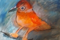 02.Oiseau apeuré (D : 30cm x 42cm    Prix=100 €)