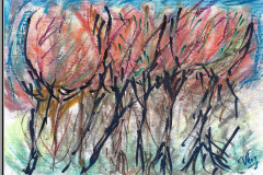 02.arbres-en-colere