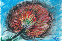 04.fleur-incendiaire