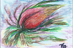 09.envolee