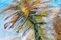 24. Mr Palmier échevelé (D : 30cm x 42cm    Prix=100 €)
